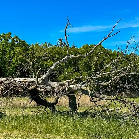 Ferienhaus Boddenblick Am Nationalpark Klausdorf