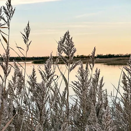 Boddenblick Am Nationalpark * Klausdorf
