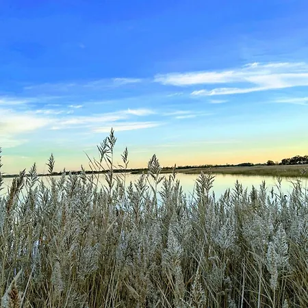 Boddenblick Am Nationalpark Ferienhaus