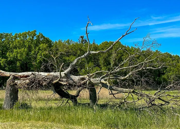 度假居 Boddenblick Am Nationalpark Klausdorf (Vorpommern-Rugen)