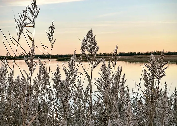 Boddenblick Am Nationalpark * Klausdorf (Vorpommern-Rugen)
